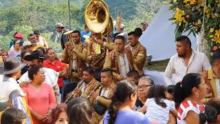 Banda Joroches La Grande  El Gusanito 2018 [upl. by Aizirtap231]