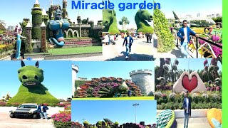 Miracle garden Dubai 2024 4kvideo The world’s largest natural flower garden [upl. by Tyrus492]