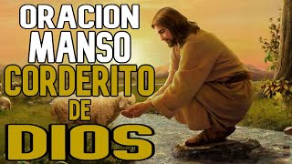 Oracion Manso Corderito de Dios para Problemas Dificiles y Necesidades [upl. by Bullough]