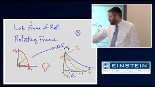 Introducing MRI Transverse Magnetization Relaxation 10 of 56 [upl. by Briney]