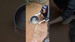 Unbelievable fishing catfish fish trap fish tank blue gabe frog arowana paul cuffaro [upl. by Crellen]