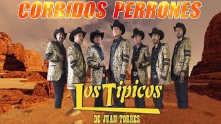 Los Típicos de Juan Torres 💫 Puros Corridos Viejitos 💫 Para Pistear Mix 2024💫 [upl. by Sekyere661]