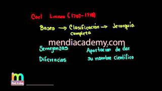 Biología Clasificación según Carl Linneo [upl. by Jahncke]