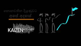 Kaizen promotion Sinhala 2016 [upl. by Dnartreb]