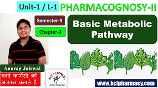 Metabolic Pathway Primary amp Secondary Metabolite  L1 Unit1  Sem5  PharmacognosyII [upl. by Sherman229]