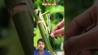 bamboo creation sling shot with pin satisfying diy shorts shortsvideo shortsfeed [upl. by Mloclam]