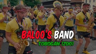 BALOOS BAND  TOBOGAN Zoo  SOTRONDIO2024 [upl. by Acitel490]