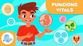 Les FUNCIONS VITALS dels ÉSSERS VIUS  Relació nutrició i reproducció  Ciències per a nens [upl. by Zaraf150]