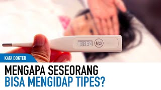 Kerja Sampai Tipes Ini Penyebab Tipes Yang Sebenarnya  Kata Dokter [upl. by Sitrik79]