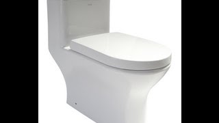 WaterSense Eco Friendly Toilet  EAGO TB353 [upl. by Anthiathia896]