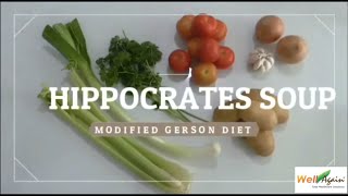 WADC How to Prepare Hippocrates Soup [upl. by Inahet]