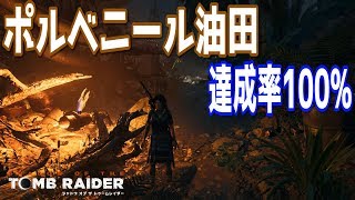 【シャドウ オブ ザ トゥームレイダー】ポルベニール油田の収集品入手場所 達成率100攻略動画 [upl. by Goddord]