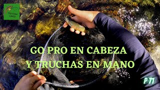 PROYECTO 71  GO PRO EN CABEZA Y TRUCHAS EN MANO [upl. by Ainnet]