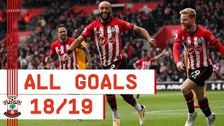 GOALS GOALS GOALS  Nathan Redmonds 201819 Southampton strikes [upl. by Feeley738]