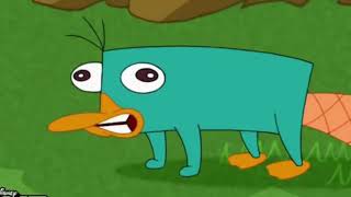 almost 8 minutes of perry the platypus sound straight [upl. by Reginnej]