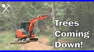 Kubota KX0404 Mini Excavator Taking Out Trees [upl. by Koralle]