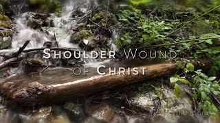 Shoulder Wound of Christ HD [upl. by Slaohcin165]