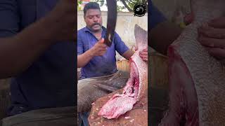 KORALI FISH 🐟KASIMEDU SPEED SELVAM MASS CUTTING SKILLS speedselvamfastcutting [upl. by Stricklan]