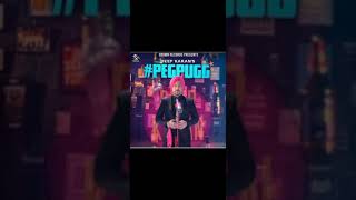 Peg pugg Punjabi song teri yaad je sataugi te ki karunga latest Punjabi song peg Pugg trendy Punj [upl. by Ardnaskela]