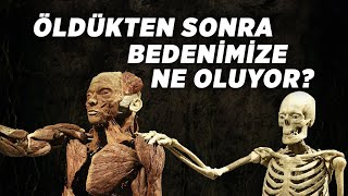 Öldükten Sonra Bedenimize Ne Oluyor [upl. by Mikeb]