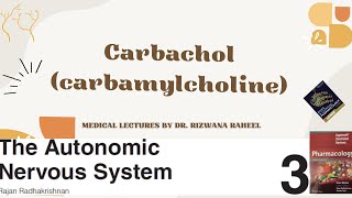 Carbachol carbamylcholine  Cholinergic agonist  Lippincott Pharmacology  Katzung [upl. by Serolod]