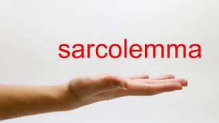 How to Pronounce sarcolemma  American English [upl. by Retsila]