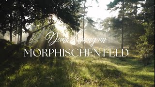 Deine Lesung im Morphischen Feld [upl. by Ised]