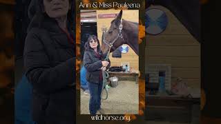 Ann and Miss Pauleena Ultrasound horse rescue [upl. by Hanschen]