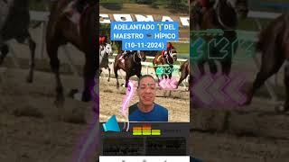 Adelantado 🎁 del Maestro 🎓 Hípico 🏇 en La Rinconada 🏇10112024 [upl. by Frierson]