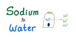 Sodium and Water  Electrolytes  Osmosis  Osmotic Pressure  Fluids and Electrolytes Series [upl. by Salis474]