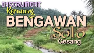 BENGAWAN SOLO  Gesang  Instrument Keroncong [upl. by Nayar]