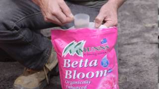 How to feed citrus using Munns Betta Bloom Fertiliser  with Anthony Scott [upl. by Enailuj]