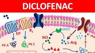 Diclofenac Tablets amp gel  New mechanism precautions amp side effects [upl. by Radnaskela243]