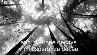 Woods of Desolation  Somehow subtitulos español [upl. by Heigho]