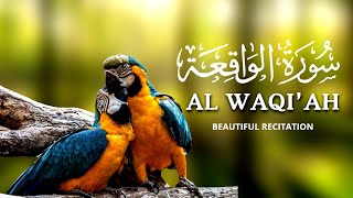 HEART SOOTHING QURAN RECITATION SURAH ALWAQIAH سورة الواقعة HOLY QURAN RECITATION [upl. by Eiroc607]