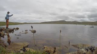 Første kast på Hardangervidda [upl. by Nahtanoj]