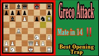 Mate in 14‼️Greco Gambit Trap  Best Opening Trap [upl. by Donell]