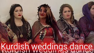 Best Kurdish wedding dance 4 [upl. by Mafala324]