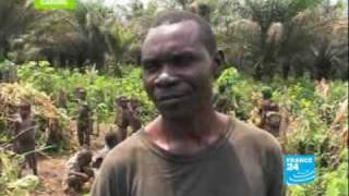 Pygmies endangered people [upl. by Laamak]