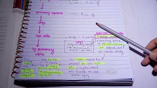 Pulmonary Pressure l systolic amp diastolic l Blood flow through lungs l zones of lungs [upl. by Letitia]