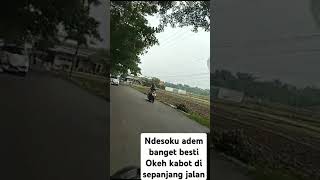 Ndesoku wingi adem sejuk okeh kabot di sepanjang jalan bestie [upl. by Celin]