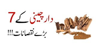 Disadvantages Of Cinnamon in Urdu  Daar Cheeni Ke Nuksan  MindfulLife0 [upl. by Inoy]