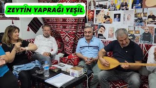 zeytin yaprağı yeşil bizim eller türkü evi [upl. by Takken]