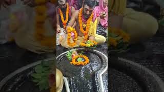 baba baidyanath ki kancha jal puja karte tirth purohit har har mahadev mahadevststus baidhnath [upl. by Shrier]