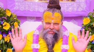 premanand ji maharaj satsang live shorts trending radha vrindavan [upl. by Meeka434]