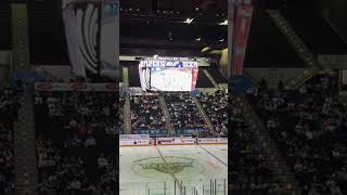 Experience the Excitement of the Pensacola Ice Flyers 🏒  Pensacola Shorts Hockey PensacolaX [upl. by Imak]