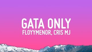 Gata Only Slowed Lyrics [upl. by Enneira]