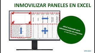 Inmovilizar paneles en Excel [upl. by Adihsaar]