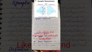 what is synaptic transmission UrduHindi neurosciences psychologyinurdu shorts ytshorts [upl. by Kono654]