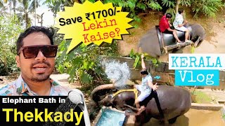 Elephant Bath amp Ride in Kerala  Best Activity to do in Thekkady Vlog [upl. by Fields353]